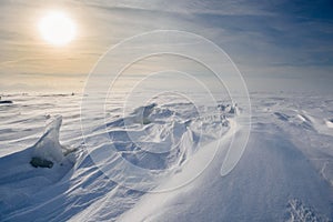 Boundless icy landscape during a snowstorm