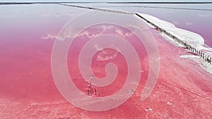 Boundless nature scenery pink salt lake water