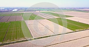 Boundless plowed and green sprouting fields in square shape