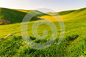 Boundless valley of Armenia, covered with lush green grass beautiful summer