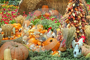 A Bountiful Autumn Harvest photo