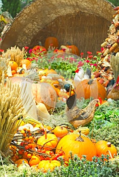 A Bountiful Autumn Harvest