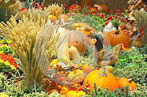 A Bountiful Autumn Harvest