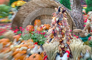 A Bountiful Autumn Harvest in selective focus