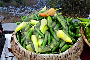 A Basket of Chiles photo