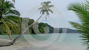 Bounty beach. Landscape of the sea and palm trees with a heavenly swing.