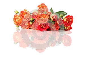 Bouqet of orange rose flowers close up isolated on white backgr