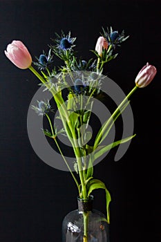 Bouque of Blue Thistle and pink tulips over black