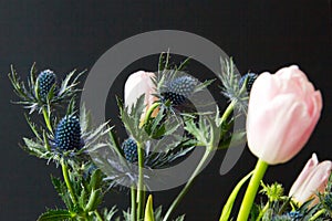 Bouque of Blue Thistle and pink tulips over black