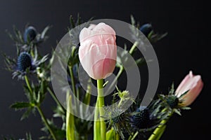 Bouque of Blue Thistle and pink tulips over black