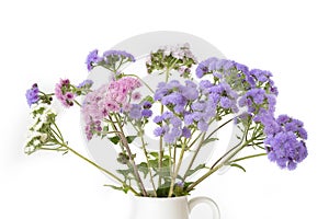 Bouquet of Ageratum houstonianum flowers