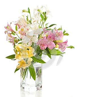 Bouquet of Alstroemeria photo