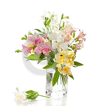 Bouquet of Alstroemeria