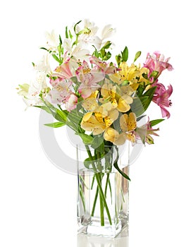 Bouquet of Alstroemeria flower