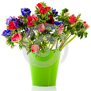 Bouquet Anemones