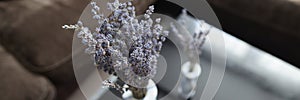 Bouquet of aromatic dried lavender or lavandin flowers in white vase