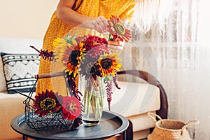 Bouquet arrangement. Woman puts sunflowers and zinnias in vase at home. Fresh fall blooms picked in basket. Interior