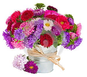 Bouquet of aster flowers in pot