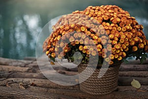 A bouquet of autumn flowers in a basket against the background of a blue lake stands on the bridge.