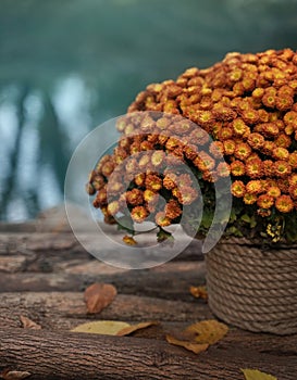 A bouquet of autumn flowers in a basket against the background of a blue lake stands on the bridge.