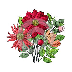 Bouquet of autumn flowers and leaves: dahlia, zinnia. Hand drawn vector
