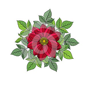 Bouquet of autumn flowers and leaves: dahlia, zinnia. Hand drawn vector illustration