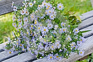 A bouquet of autumn flowers on a wooden bench