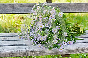 A bouquet of autumn flowers on a wooden bench