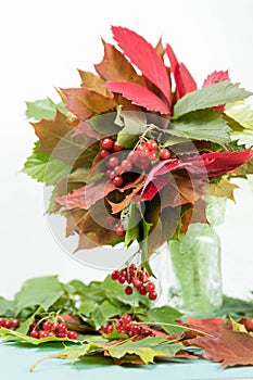 Bouquet from the Autumn Foliage. Different  maple leaves, wild grapes and guelder-rose berries laid out with a white