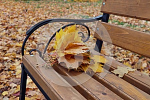 A bouquet of autumn maple leaves lies on a bench in the old Park, close - up-the concept of farewell to autumn