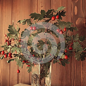 Bouquet of autumn tree branches with red berries in a glass vase