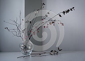Bouquet of a barberry branch with dry twigs