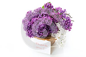 Bouquet of beautiful blooming lilacs in a vase