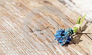 Bouquet of beautiful blue flowers on a wooden vintage table. Small flowers are muscari or viper onion. A small bouquet for the