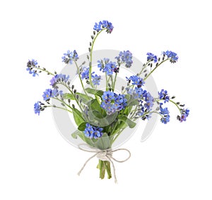 Bouquet of beautiful blue Forget-me-not flowers on white background