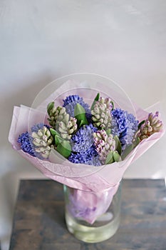 Bouquet of Beautiful blue and lilac hyacinths. Close-up spring flowers in vase. bulbous plant. Floral wallpaper