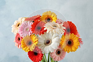 Bouquet of beautiful colorful gerbera flowers on light blue background