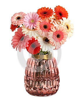 Bouquet of beautiful colorful gerbera flowers in vase isolated on white