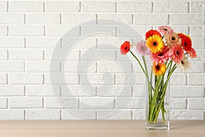 Bouquet of beautiful colorful gerbera flowers in vase on table against white brick wall. Space for text
