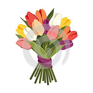 Bouquet of beautiful colorful tulips isolated on white background. Lush bunch of flower buds with purple ribbon. Floral design