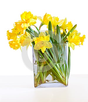 A bouquet of beautiful daffodils