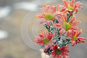 Bouquet of beautiful dahlia flowers background with copy space for your text. Floral peach color background