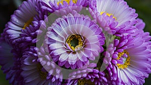 Bouquet of beautiful flowers captured in stunning macro detail