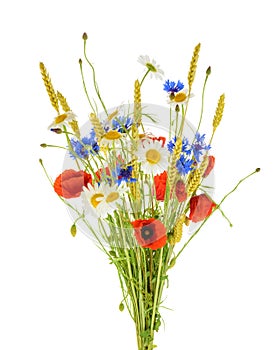 Bouquet of beautiful flowers Cornflowers, chamomiles wheat and