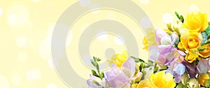 Bouquet of beautiful freesia flowers on beige background, space for text. Banner design