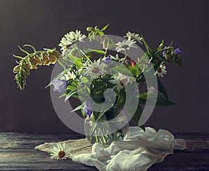 Bouquet of beautiful garden daisy flowers