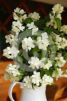 Bouquet of beautiful jasmine flowers in vase indoors