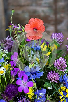 Bouquet of beautiful meadow flowers and poppy on dark wooden background indoors in natural light