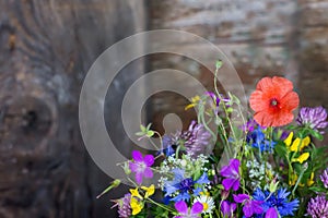 Bouquet of beautiful meadow flowers and poppy on dark wooden background indoors in natural light, still life with wild flowers