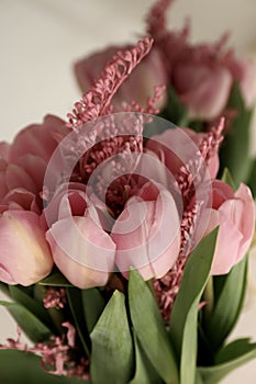 Bouquet of beautiful pink tulips in early spring as a postcard or picture with nice flowers